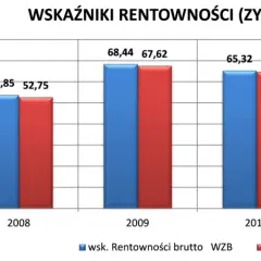 Wskaźnik rentowności brutto: Klucz do analizy finansowej firmy
