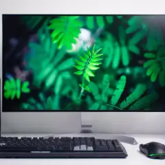 Jaki monitor dla grafika - wybierz idealny model dla swojej pracy