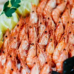 Diferencia entre gambas y camarones: lo que no sabías sobre ellos