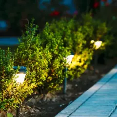 Lampy solarne ogrodowe jakie kupić - uniknij najczęstszych błędów