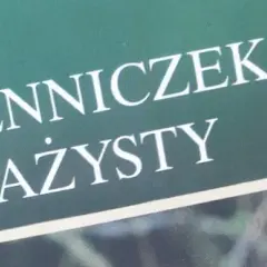 Jak napisać podanie o przyjęcie na staż do koła łowieckiego skutecznie