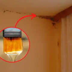 Skuteczne domowe sposoby na usunięcie grzyba ze ścian bez chemii