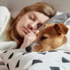 Sennik pies który się przytula – odkryj emocjonalne znaczenie snu