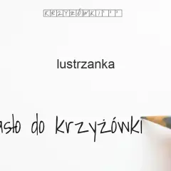 Lustrzanka krzyżówka – poznaj najważniejsze hasła i definicje