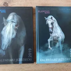 Najlepsze planery jeździeckie, które pomogą zorganizować treningi i życie stajenne
