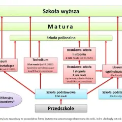 Jak wygląda życie dzieci w szkole: etapy edukacji i system nauczania w Polsce