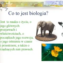 Biologia co to jest? Prosta definicja, zastosowania i główne działy nauki
