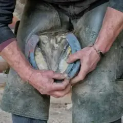 Kto podkuwa konie i dlaczego to tak ważne dla ich zdrowia?