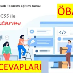 Jak nauczyć się projektowania stron internetowych z HTML i CSS – praktyczny kurs dla początkujących
