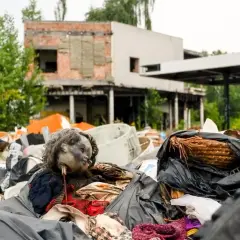 Hotel JB w Krakowie zamknięty - poznaj powody tej decyzji