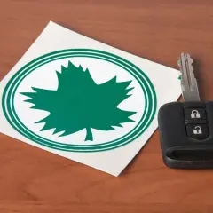 Od kiedy wchodzi zielony listek dla kierowców i co warto wiedzieć