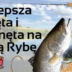 Rozwiązania do krzyżówki: przynęta na ryby - znajdź idealne hasła