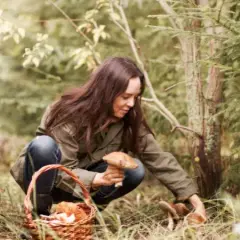 Jak szukać grzyby w lesie: skuteczne techniki i miejsca na foraging