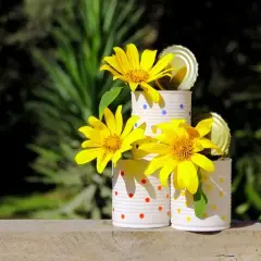Cómo hacer una maceta con cosas reciclables y darle vida a tu jardín