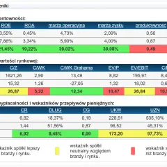 CD Projekt: Wskaźniki finansowe i rentowność spółki w liczbach