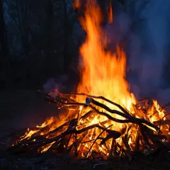 Kiedy można legalnie palić ognisko? Przepisy, zakazy i praktyczne porady