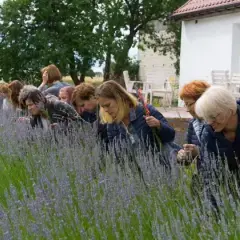 Jak założyć zagrodę edukacyjną: praktyczne kroki i wymagania