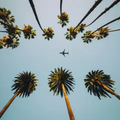 Ile trwa lot z Warszawy do Miami? Sprawdź czas lotu i szczegóły