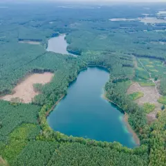 Borowy Młyn łowisko - najlepsze miejsca na wędkowanie i porady