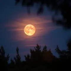 Księżyc w astrologii: Jak wpływa na twoje emocje i pragnienia