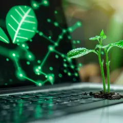 Chia - Nowa kryptowaluta - Warto rozważyć inwestycję?