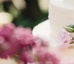 Ile kosztuje catering na wesele? Odkryj ukryte koszty i porady