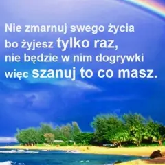 Szanuj to co masz cytaty – inspirujące słowa o wdzięczności i docenianiu życia