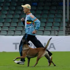 IPO sport: jak zacząć treningi z psem i osiągnąć sukces w zawodach