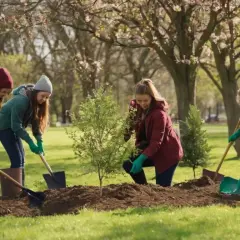 Co daje wolontariat młodym ludziom? Odkryj korzyści i wartości życia