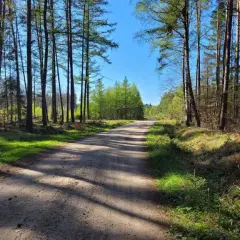 Trasy rowerowe Koszalin: Odkryj najlepsze szlaki i uniknij nudy