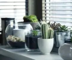 Maceta carita: alegra tu hogar con estas macetas divertidas y únicas
