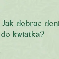 Jak sprawdzić rozmiar doniczki, aby uniknąć błędów przy sadzeniu
