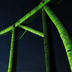 Fluor: Przyjaciel czy wróg? Odkrywamy prawdę o wpływie na zdrowie