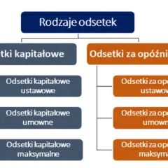 Ile wynoszą odsetki ustawowe? Sprawdź, co musisz wiedzieć teraz