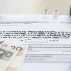 Jak urząd skarbowy sprawdza samotne matki i jakie mogą być konsekwencje
