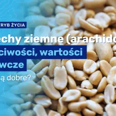 Ile kalorii mają orzeszki ziemne: fakty i wartości odżywcze w 2025