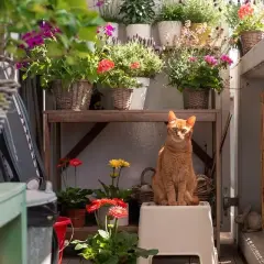 Jak urządzić mały balkon w bloku, by stał się przytulną oazą?