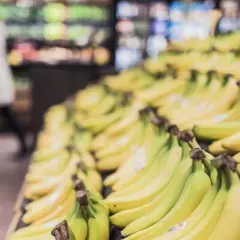 W jakim kraju rosną banany? Odkryj największych producentów bananów