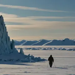 Arktyczne wyzwanie: Mads Mikkelsen walczy o życie w "Arctic"
