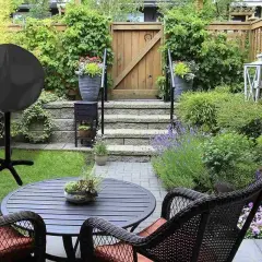 Los mejores arbustos de exterior resistentes al frío y calor para tu jardín
