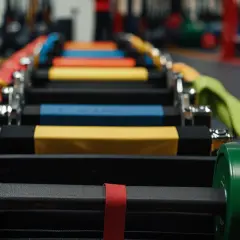Jakie pasy na siłownię dla początkujących? 5 zasad mądrego wyboru