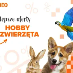 Jakie krople na kleszcze dla psa? Skuteczne rozwiązania na ochronę