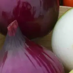 Jak się sadzi cebulę - proste kroki do zdrowych plonów w ogrodzie