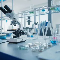 Medicover badania na życzenie – poznaj dostępne testy i jak je umówić