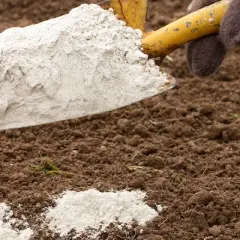 Kiedy stosować dolomit jako nawóz? Kluczowe informacje dla ogrodników