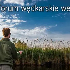Opinie o jeziorze Rozkoś w Czechach: co warto wiedzieć przed wizytą