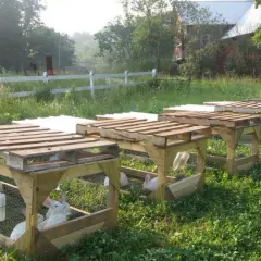 Jak zrobić klatkę dla królika z palet: 5 prostych kroków DIY