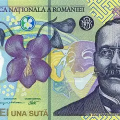Jaka waluta w Rumunii? Poznaj lej rumuński i kursy wymiany