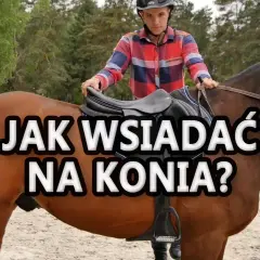 Jak wsiadać na konia: uniknij błędów i wsiądź pewnie na siodło