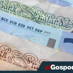 Czy NBP udziela kredytów? Prawda o roli banku centralnego w Polsce